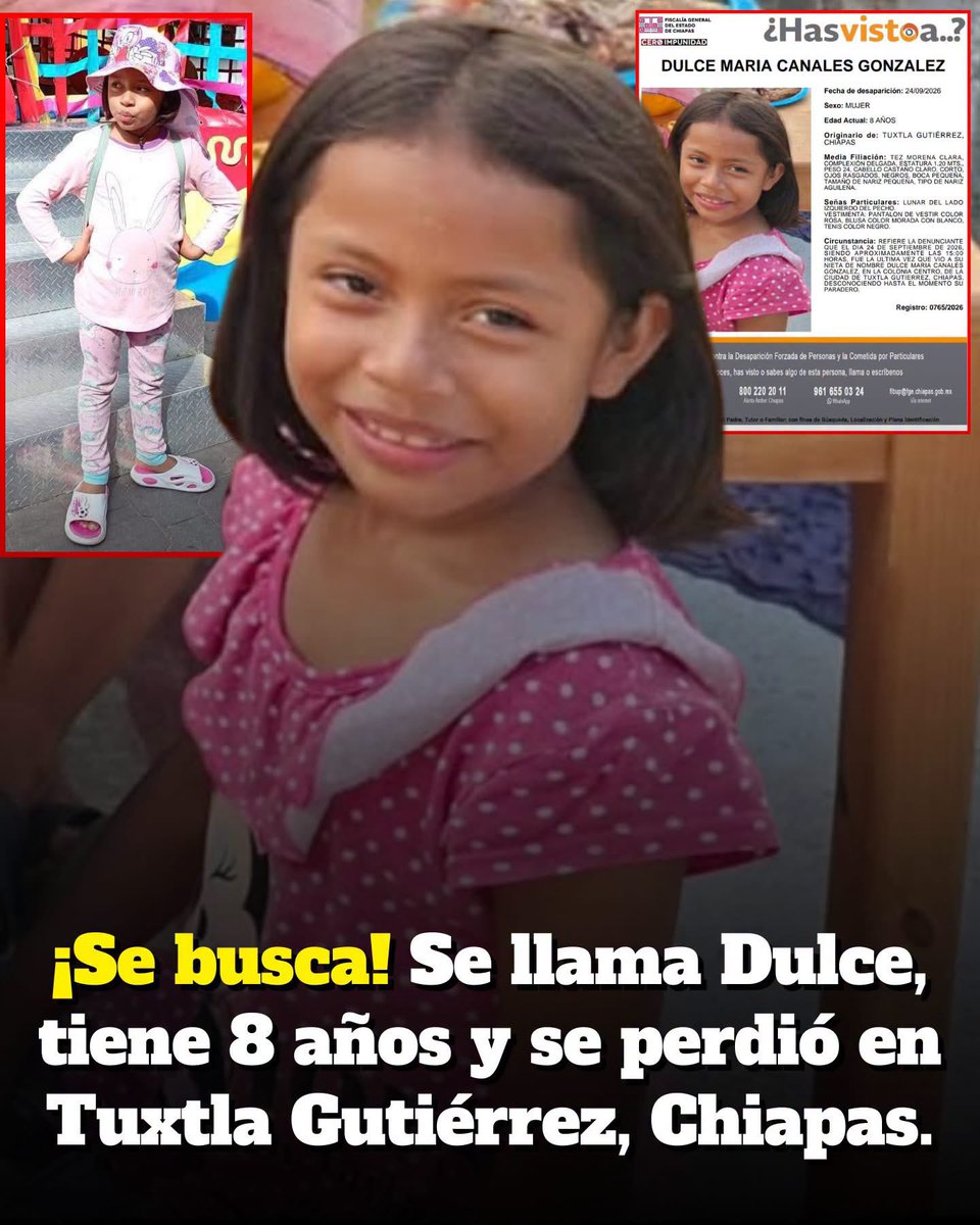 VigiaCiudadano7's tweet photo. 🙏 ALERTA: Dulce María Canales González, de 8 años, está desaparecida desde el 24 de septiembre en Tuxtla Gutiérrez, Chiapas. Su familia pide ayuda desesperadamente para encontrarla.

De acuerdo con su abuela, ambas se encontraban en la zona Centro cuando la pequeña cruzó hacia una parada de transporte público para hacer fila. La mujer tuvo que esperar unos momentos para poder cruzar la calle y, cuando finalmente llegó a la parada, Dulce María ya no estaba.

Su abuela comenzó a buscarla por las calles cercanas, recorrió la zona donde acostumbraban caminar y preguntó a personas de la parada, pero nadie pudo decirle dónde estaba.

Dulce María tiene 8 años, es de complexión delgada, mide aproximadamente 1.20 metros, tiene tez morena clara, cabello castaño claro y ojos negros. Como seña particular, tiene un lunar en el lado izquierdo del pecho.

Al momento de su desaparición se reportó que vestía pantalón rosa, blusa morada con blanco y tenis negros. Su abuela también mencionó una mochila gris verdosa, sombrero café y una bolsita azul marino.

Fue vista por última vez en la zona Centro de Tuxtla Gutiérrez, cerca de una parada de transporte público.

Si alguien la ha visto o tiene cualquier información que pueda ayudar a localizarla, puede comunicarse al 999 159 4911 o reportarlo inmediatamente ante las autoridades al 911.

🙏 Visibilizar el rostro de Dulce María puede ayudar a que regrese con bien a casa.
#Alerta #Desaparecida #SeBusca #Chiapas