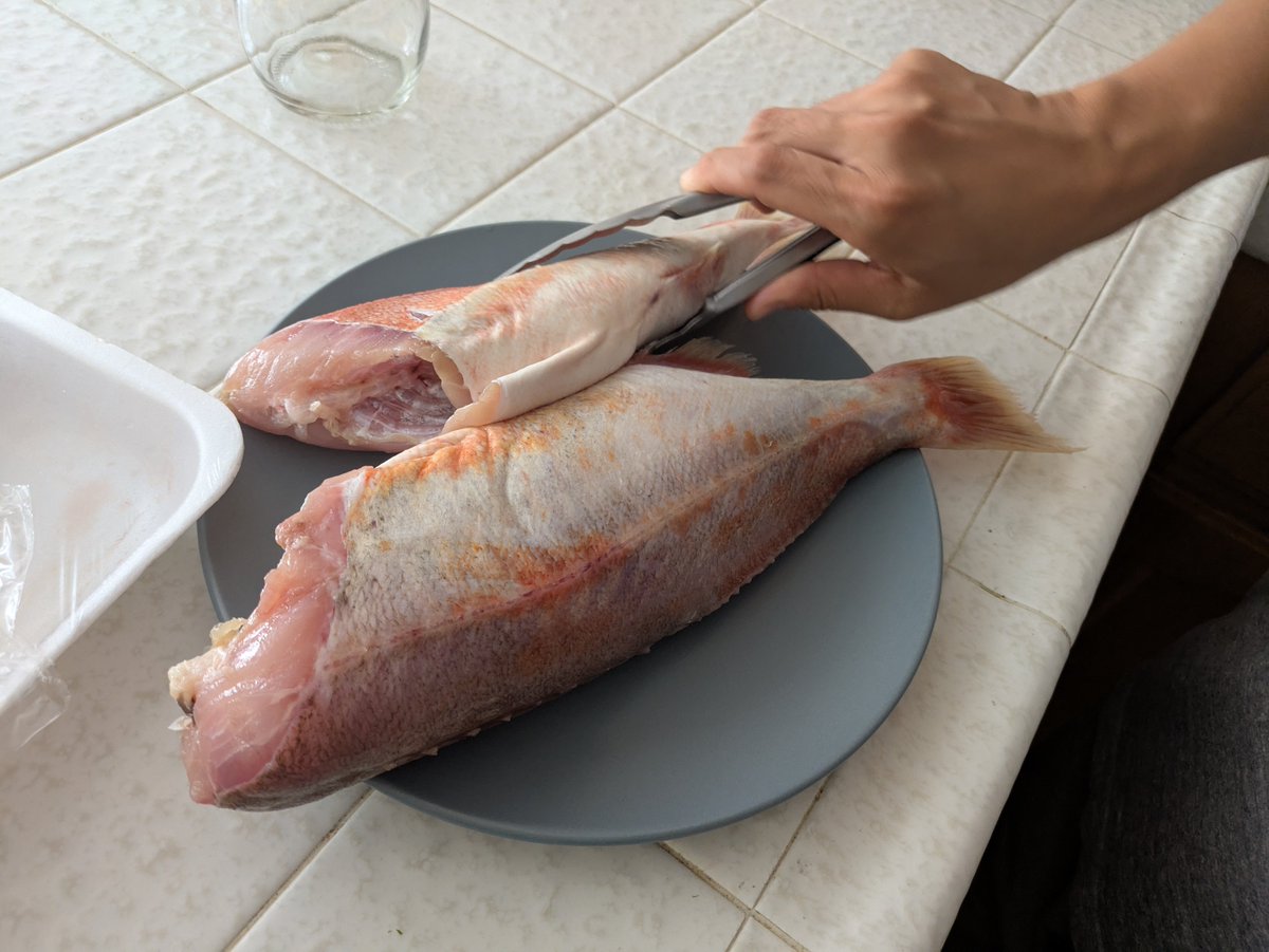 ngkngk's tweet photo. rock fishってメバルか。ブロイルで塩焼きとソテーにした。 https://t.co/fAgUYPhEq2