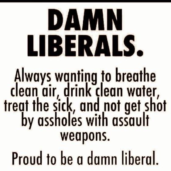 Damaan4u33's tweet photo. If you are damn proud to be a "Liberal," raise your hand! ✋ https://t.co/SzTSk186tc