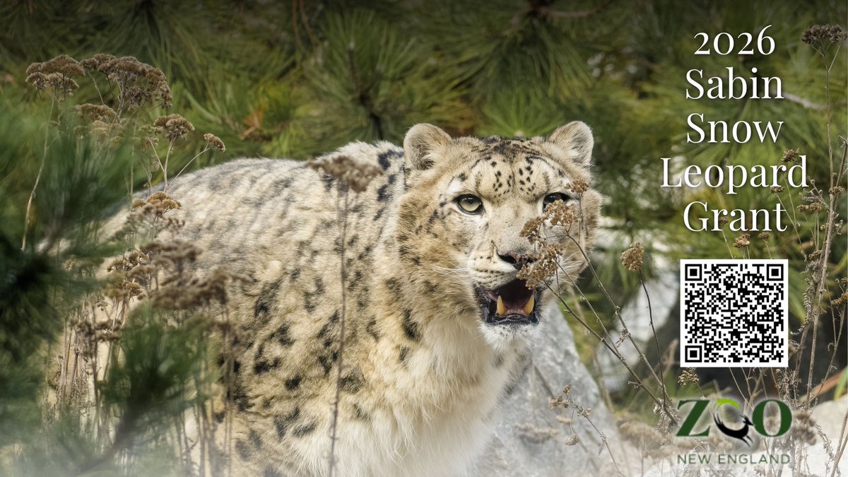 SnowLeopardNet tweet picture