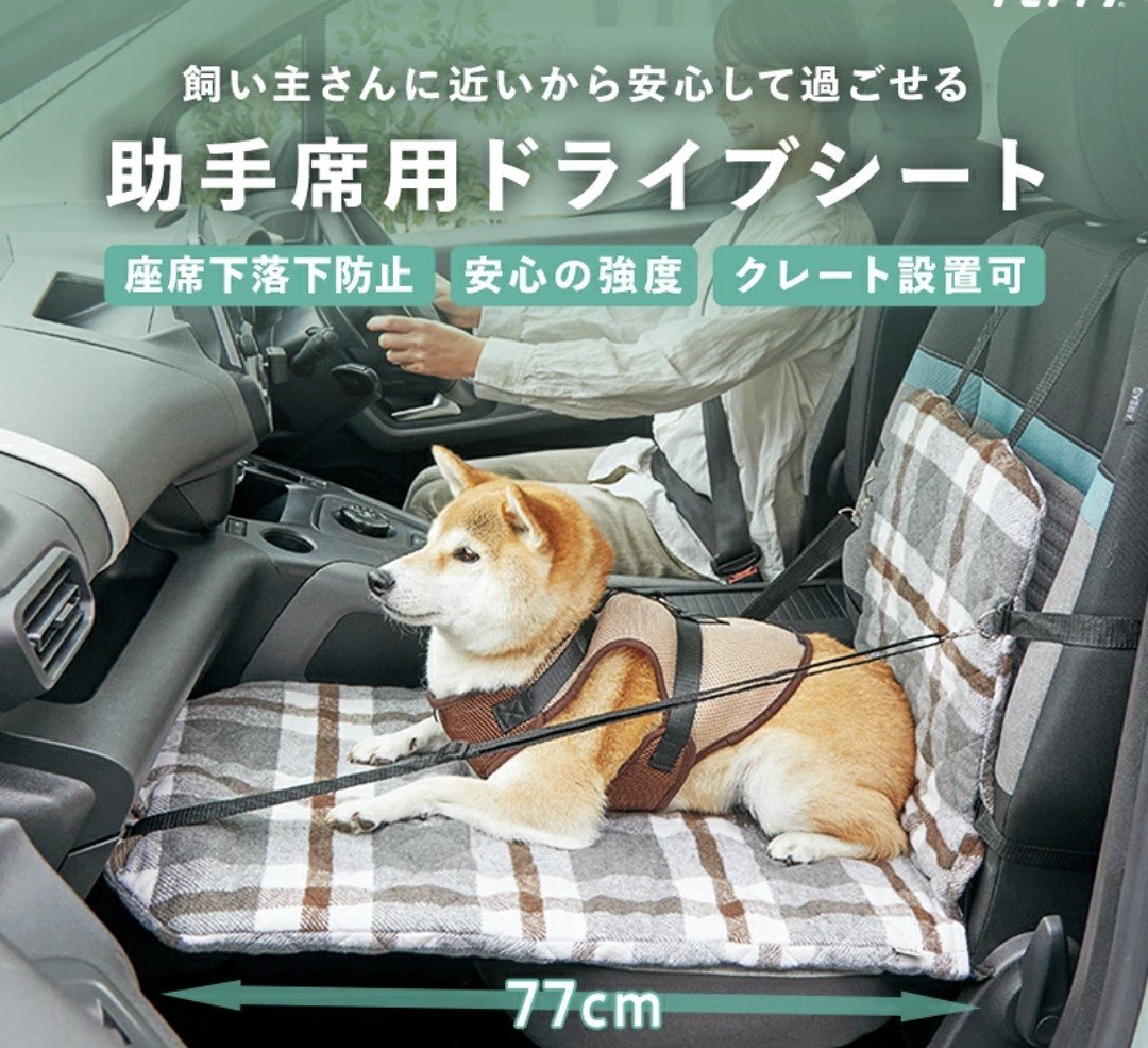 2929natsuki's tweet photo. おはようございます🐾
社長から良い物頂きました。
ありがとうございます🐾
モロタ〜モロタ〜＼(^o^)／
そろそろ買い替え時か？と思ってた欲しかったのをポチりました🤩
ﾌｫｫ――(⊙ω⊙)――ｯ!♥
下僕、最高！！！！！！

＃YELL　#大谷翔平　#愛媛県 https://t.co/kZlYE97iyT