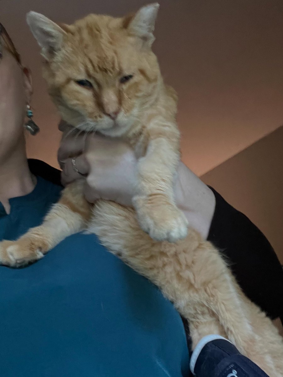 noraramireznsfa's tweet photo. Leaving home was especially hard this morning. I’ll be at a work conference today and tomorrow, and with Mimi on hospice and refusing food, every moment with her feels precious. Daniel seems to sense something is wrong too—he’s been extra cuddly https://t.co/7Hvm29ZOGg