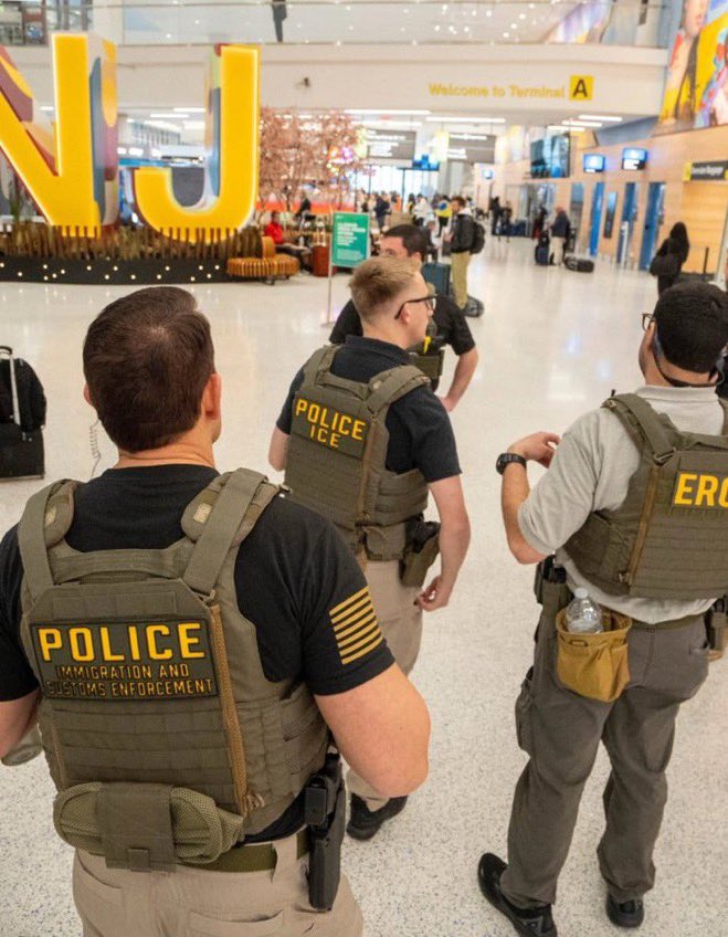 WWG1WGA_QQ's tweet photo. Raise your hand if you want ICE Agents at Airports and Polling Stations

YES OR NO? https://t.co/6q5hVwq3o9
