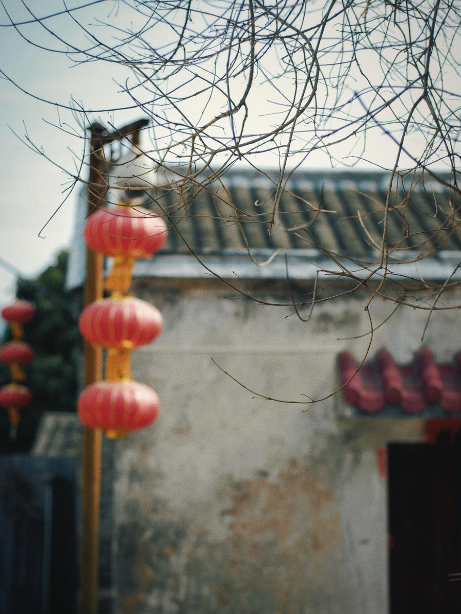 49i_kka7's tweet photo. [Hey Yue, Lu, Jingyi, and Yinfan, let’s look for that hidden gem coffee shop in the old alley today!]， https://t.co/iu4HEhDSb1