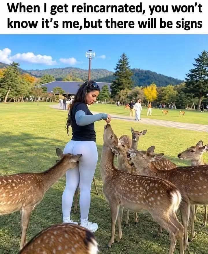Red_Irish84's tweet photo. I might start believing in reincarnation 😆 🤣 https://t.co/i47MJpwDbr