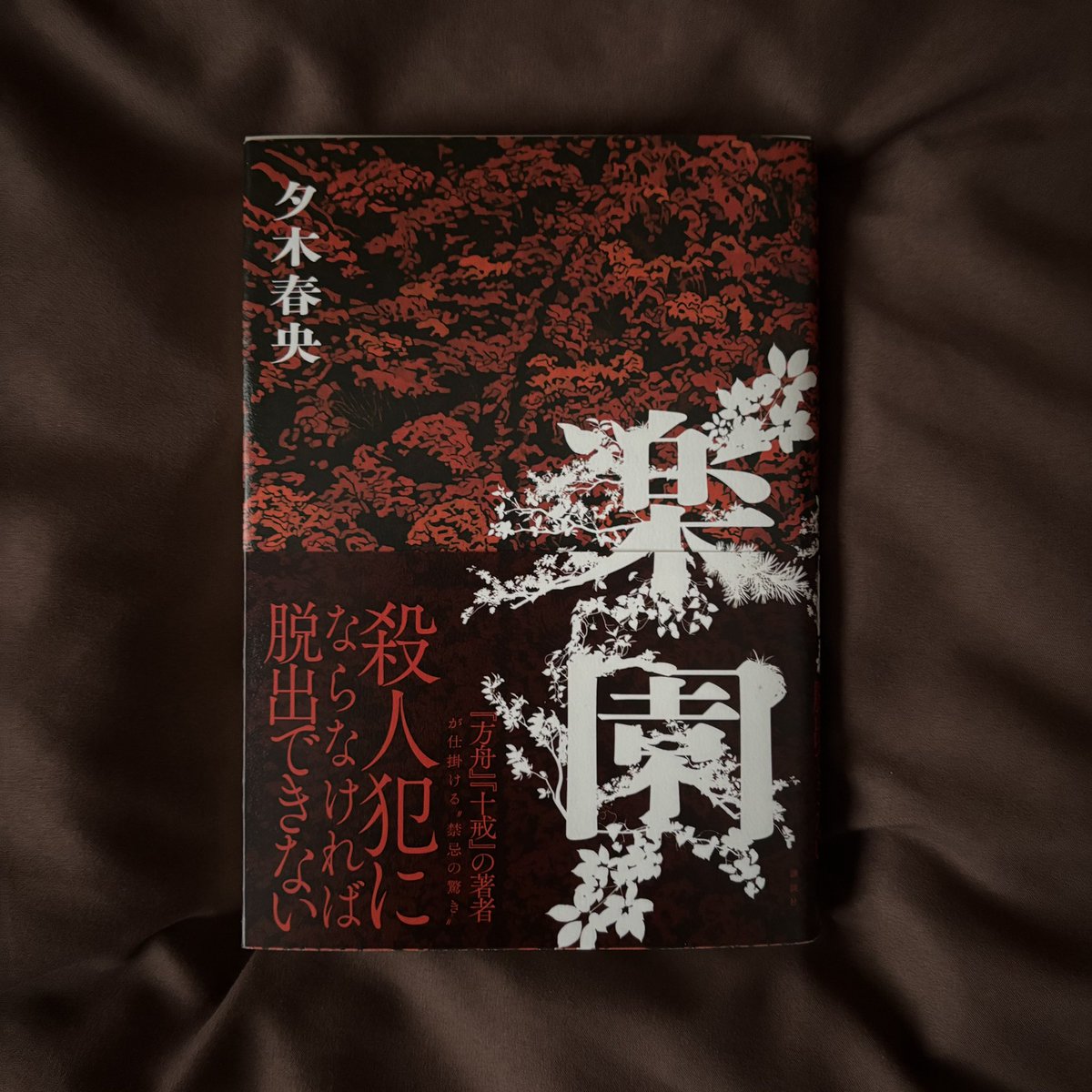 Ruu_99999's tweet photo. 『楽園』 夕木春央

#読了 https://t.co/E4B7TRo5hb