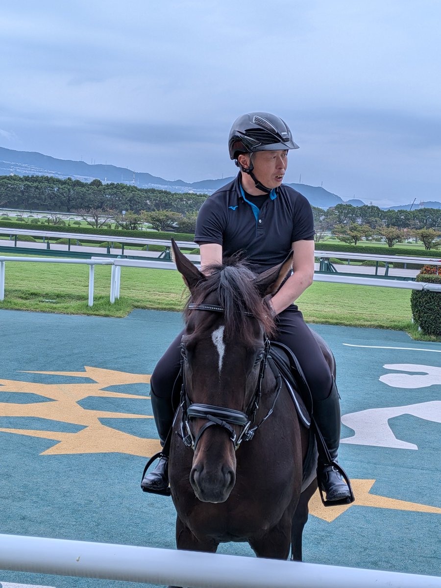 heliomcs2w's tweet photo. 今日の阪神競馬場誘導馬お出迎えに、誘導馬見習いのアレも参加しました。
誘導員さんによりますと、12月の阪神競馬で誘導デビューだそうです。
また、カンチェンジュンガの誘導デビューは来年の3月になりそうだそうです。 https://t.co/gYJXwvcJBC