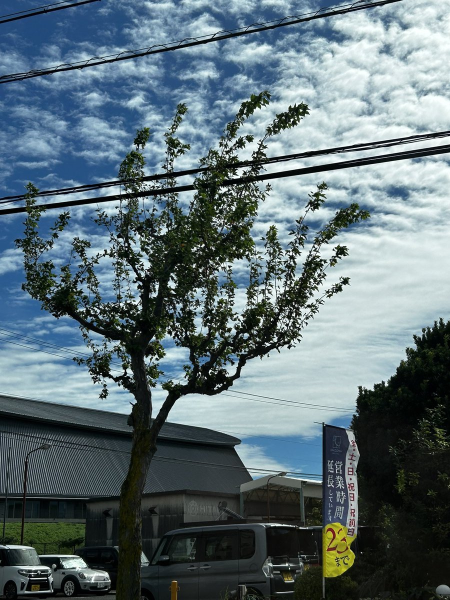 skytwalker1's tweet photo. 先日晴れた日のモノ… https://t.co/0HbSENrfXx