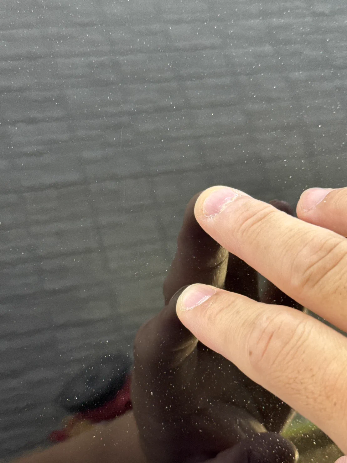 Final Lap Body Coating Studio on X: 