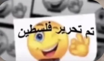 locenmy's tweet photo. تم تحرير فلسطين عيشو✌🏻🩷 https://t.co/3vTpzmnNa6