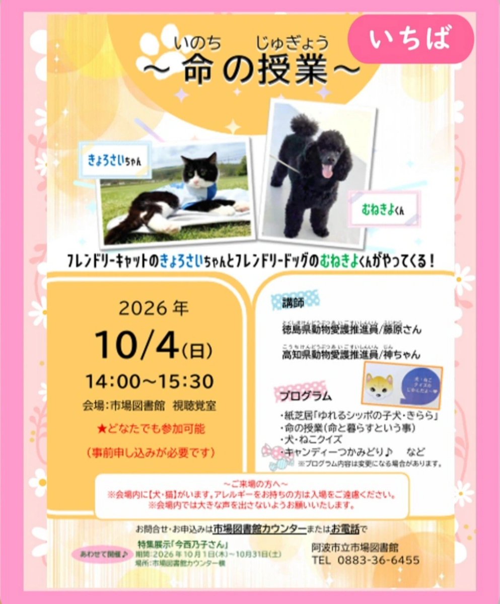 zinchanda's tweet photo. #きょろさい からお知らせ！

10月4日（日）は、徳島県の #阿波市立市場図書館 へ行くよ🐱🐶✨

今回のテーマは
🌱 「#命の授業」
命ってなんだろう？
犬や猫と一緒に暮らすって、どういうことだろう？
紙芝居や犬・ねこクイズ、キャンディーつかみどりもあるよ🍬
⏰ 14:00〜15:30
申し込みして https://t.co/TF83knm6qm