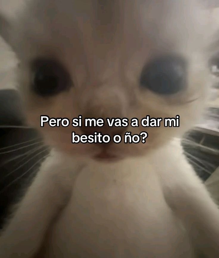 minidramatica's tweet photo. https://t.co/gXYX4a8M8p