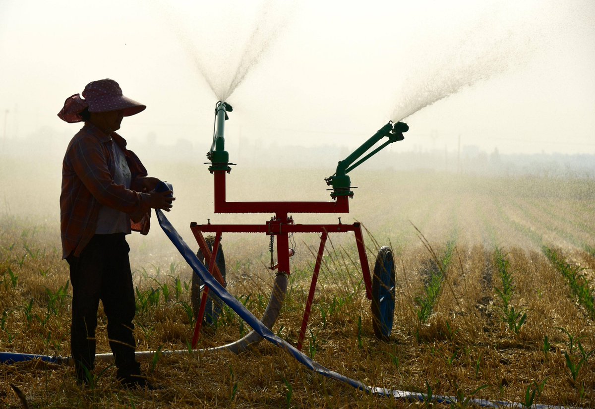dlwnrua0414's tweet photo. Farmers rush to treat crops after sudden temp drop, no pesticide inhalation issues reported.， https://t.co/6yHymjL21Z