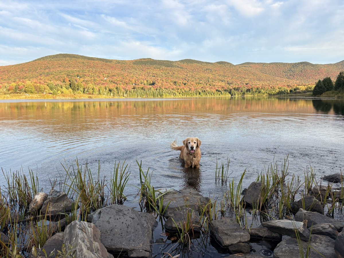 natsilvervt's tweet photo. It’s called God’s Country #vermont https://t.co/PVMm9CZHp5