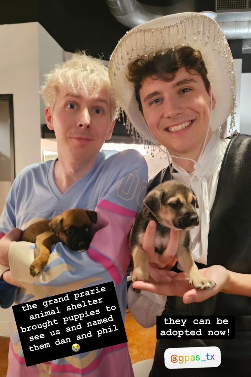 chuuinof's tweet photo. dan and phil in texas is my favorite genre https://t.co/HduxRQE9gI