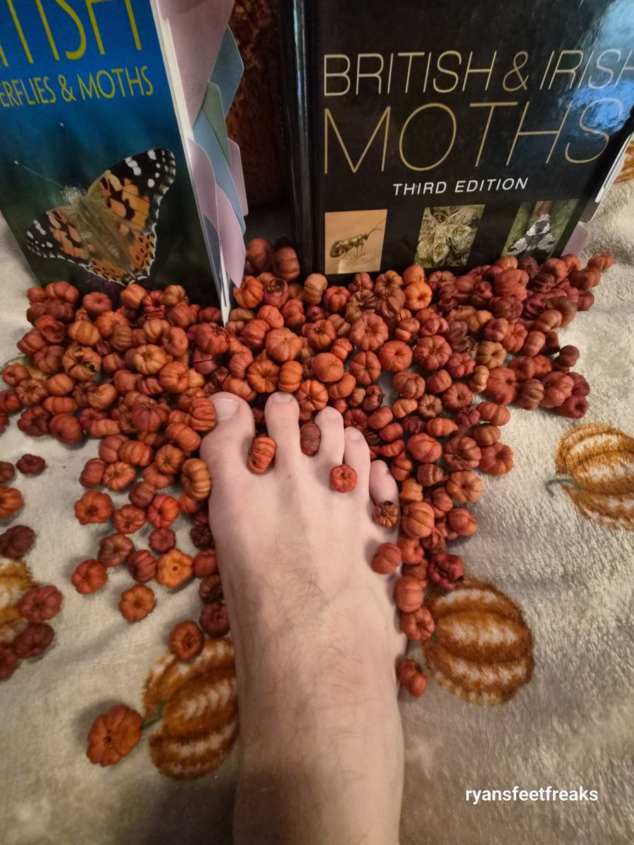 riley23948246's tweet photo. How about i read you facts about the prettiest butterflies and moths while you lay down and #suck on my #bigtoe ? If you behave for the night, i'll even use the #sole of my other foot to rub against your cock and finally let you #cum against my perfect #feet https://t.co/voT9NvlGYz