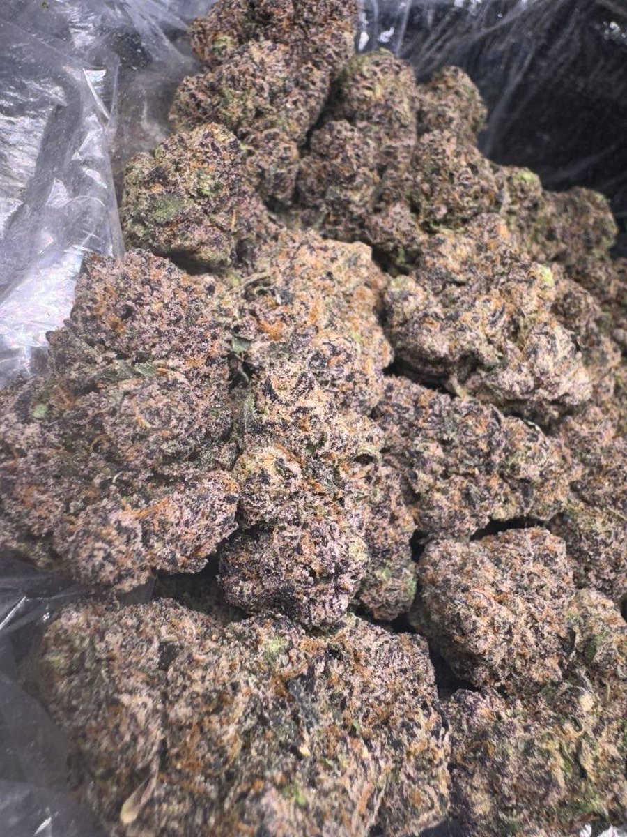 wrednottel's tweet photo. Top Shelf zaza Weed plug in Los Angeles California Dallas Texas Miami Beach Las Vegas LA New York City nyc Houston ATL London Leicester Manchester Cali St. Louis  San Francisco Diego CA Detroit DC Ontario Mexico Weed man Distro Newark phoenix Jacksonville okc meets freaks🔥 https://t.co/AUA1S4k198