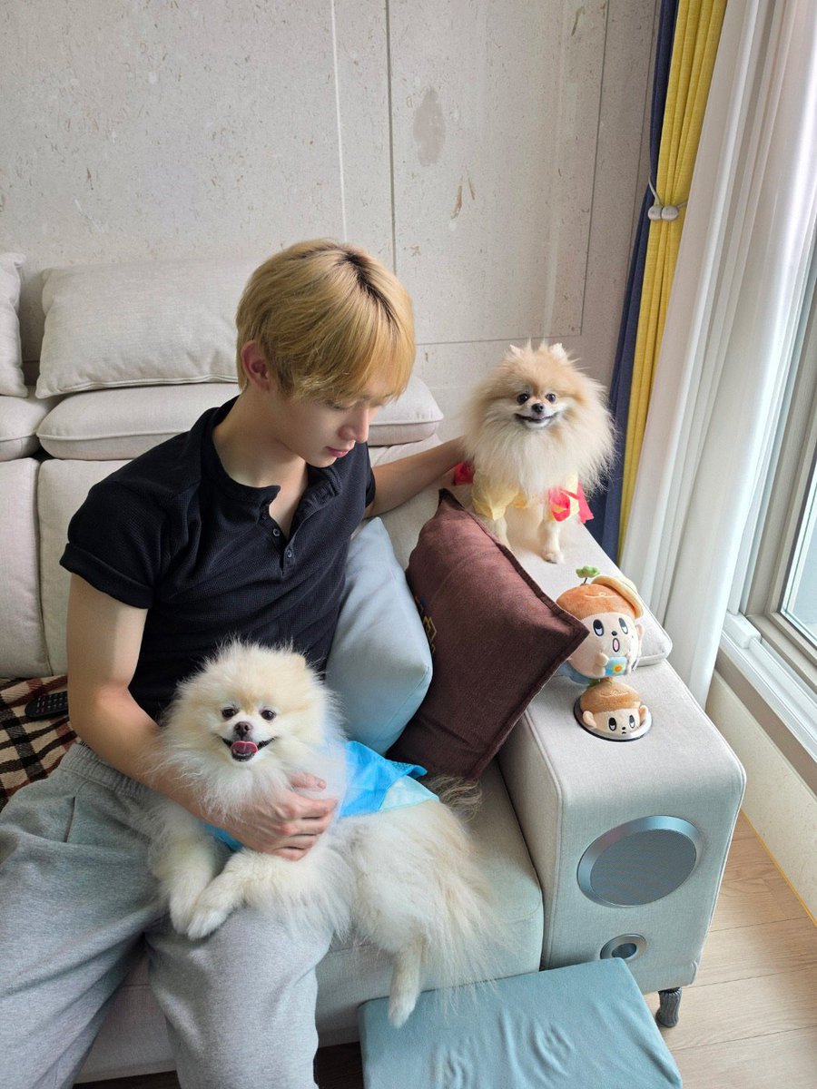 hyeoniepaws tweet picture