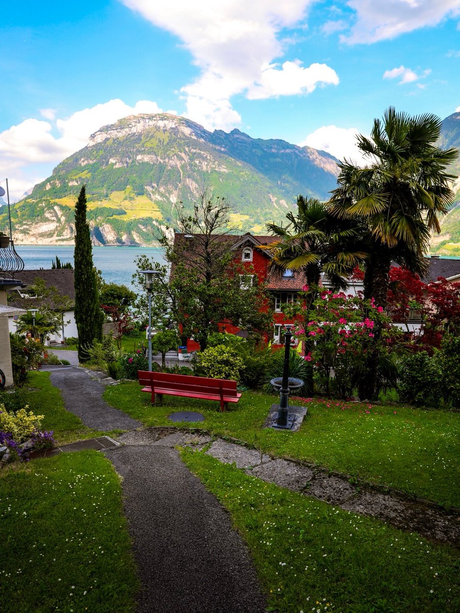 flower6260's tweet photo. Switzerland https://t.co/dh33x7Vr23
