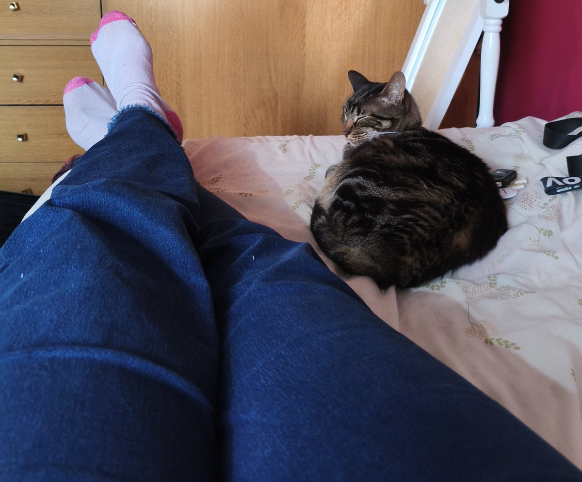 quemirasvovo's tweet photo. Mis viejos adoptaron este gato hace algunos años, nunca conviví con él.  Si me quedo a dormir, duerme conmigo 😭 lo amo https://t.co/a7eJGur5Yg