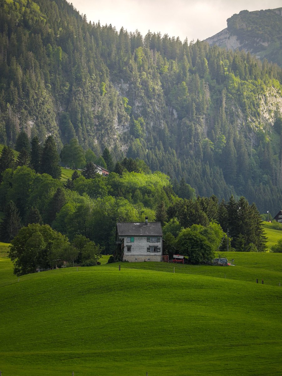 flower6260's tweet photo. Switzerland https://t.co/dh33x7Vr23