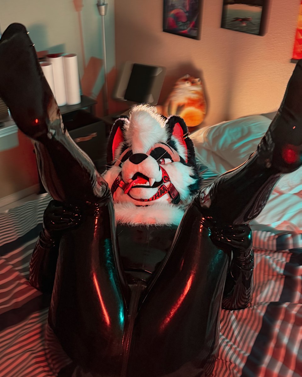 vulpinezest's tweet photo. hop on wardogs :3c

📸: @lakeoflust https://t.co/cB8KIYHyY6