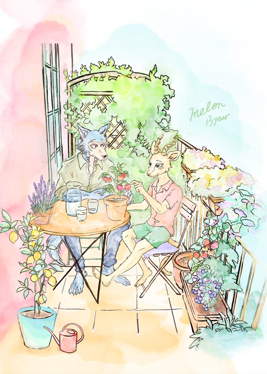 latourmelon's tweet photo. メロン13歳&amp;レゴシ
アパートのベランダで🌱🪻🍋 https://t.co/68XUUqzoDu