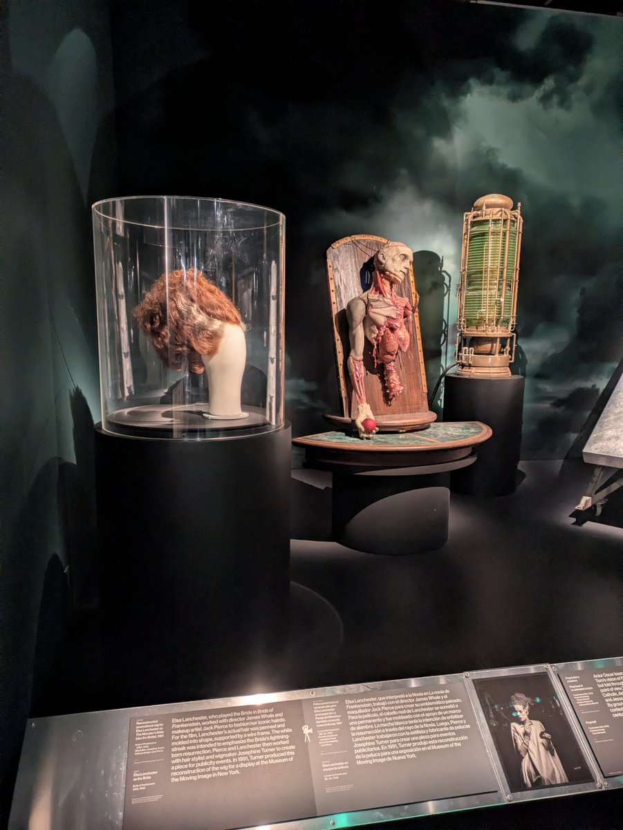 vampren_'s tweet photo. more pics i took at the horror exhibit 🖤 https://t.co/1Z5Vp5Wt1O