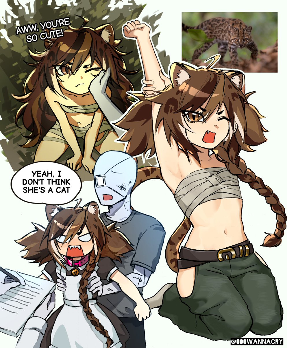 000wannacry's tweet photo. New cat, new catgirls https://t.co/zQJuGAnwnW