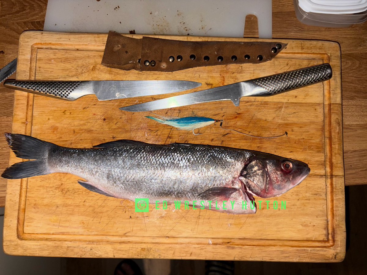 TjoLoLo7's tweet photo. Good morning all
Have a great weekend
โedโ#thesouthafricanabroad
#Moon
#Drimac
#FlyFishinggear
#Spinninggear
#DaiwaProcaster300x
#MaxcatchFlyrod
Sea Bass caught on my lefty deceiver blue&white South African
I caught a few Shad
#NightFishing
#IseofMan ๐ฎ๐ฒ
@_ThePugFather https://t.co/k5GbNfVYiC
