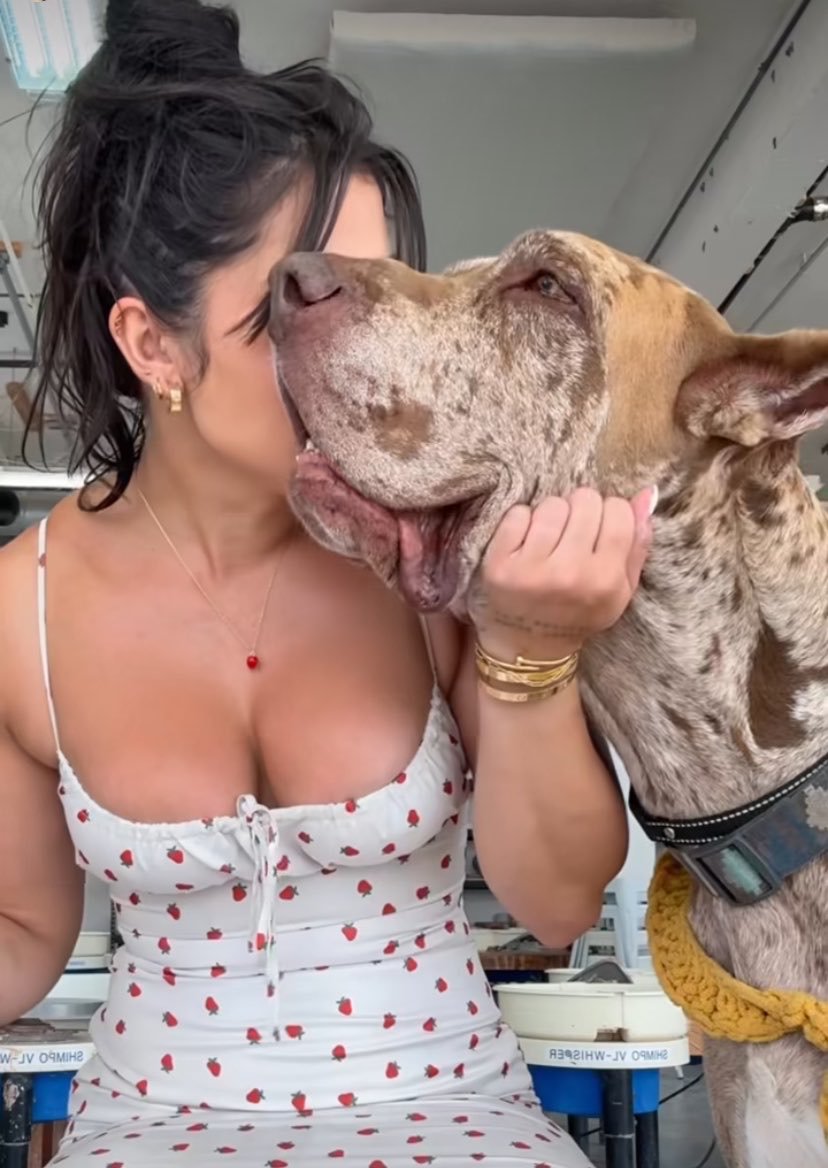 Sandr_knotty's tweet photo. Hotasfuck 🥵 my dog goes deeper inside me on telegram https://t.co/Br5mLo2PVm
Dm👆👆
#zoophillia #zoosarevalid #beastiality
#dogknot #zooprideisvalid #zoophile
 #hypnotistzoophilesarevalid #zoophiletwt #zootwt #zoopositivity
#grope #Pardi  #jjk242spoilers https://t.co/SEi4cCXh6z