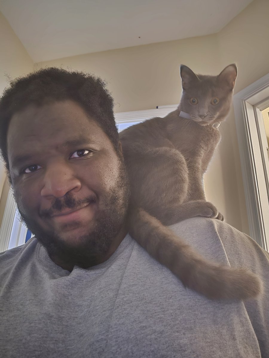 PKSparkxx's tweet photo. In case you were wondering, Reese is still a shoulder kitty. https://t.co/SDFJehSTN5