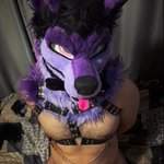 Photo by Dan wulf (@e621wolf)