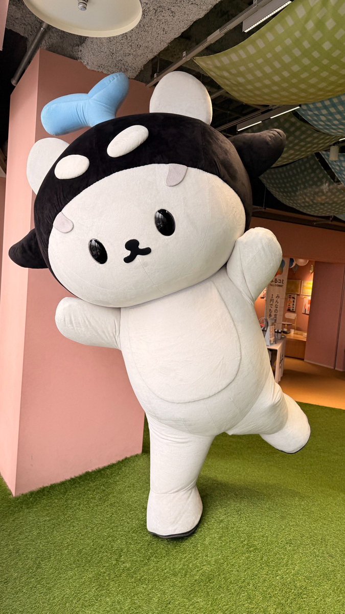 polcasan_GMMTV's tweet photo. こんにちは 〜 サンはシャワーを浴びて、いい香りになって、準備ばっちりだよ〜！✨
今日もみんなに元気と笑顔を届けに行くよ〜〜〜！

โคนิจิวะฮะ ซังอาบน้ำตัวหอมๆ พร้อมออกไปแจกความสดใส
ให้เจ่เจ้ในวันนี้แล้วฮะะะ✨

#POLCASAN
#ご当地キャラカーニバル
#GMMTV https://t.co/Gi7A1pBiSz