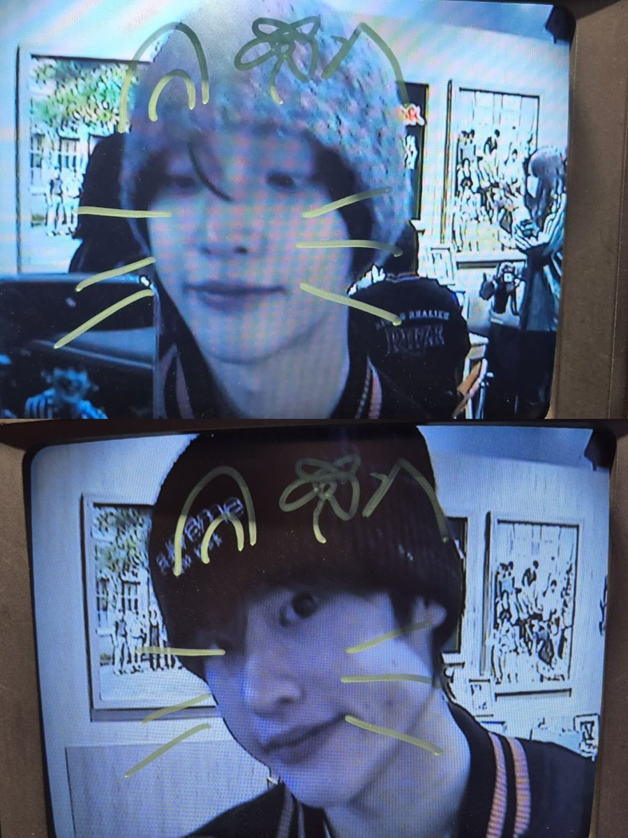 wbsh55's tweet photo. 또냥덕 https://t.co/jSYyq5PRWa
