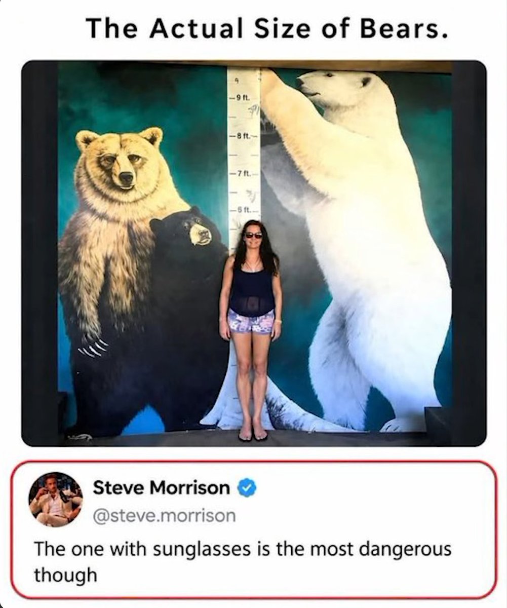 Steve101Actual's tweet photo. https://t.co/xUuYiXO1E2