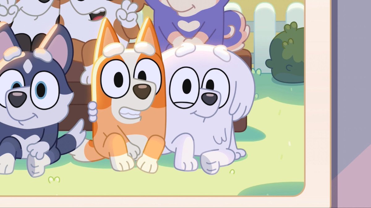 comfortbluey's tweet photo. best friends forever! 🧡🤍 https://t.co/NArBwIwKeB