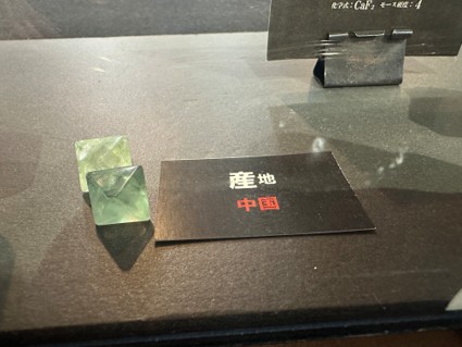 pegaroku's tweet photo. 【フローライト 実物展示中！】
多摩六都科学館の「ちきゅうラボ」の窓に、再びフローライト（fluorite）を展示しました。

フローライトは、日本名で「蛍石（ほたるいし）」といいます。緑や紫など、さまざまな色のものがあります。
 「フローライトって、どんな鉱物なんだろう？」と思った方は、ぜひ展示室5「地球の部屋」に見に来て下さい。
蛍光する蛍石も展示しています。

蛍石の蛍光や展示については、ロクトリポートでも紹介しています。こちらもあわせてご覧ください。（地学班）https://t.co/bhezIdqqTc

#多摩六都科学館 #フローライト #蛍石 #鉱物 #超きれい
