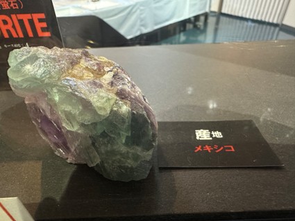 pegaroku's tweet photo. 【フローライト 実物展示中！】
多摩六都科学館の「ちきゅうラボ」の窓に、再びフローライト（fluorite）を展示しました。

フローライトは、日本名で「蛍石（ほたるいし）」といいます。緑や紫など、さまざまな色のものがあります。
 「フローライトって、どんな鉱物なんだろう？」と思った方は、ぜひ展示室5「地球の部屋」に見に来て下さい。
蛍光する蛍石も展示しています。

蛍石の蛍光や展示については、ロクトリポートでも紹介しています。こちらもあわせてご覧ください。（地学班）https://t.co/bhezIdqqTc

#多摩六都科学館 #フローライト #蛍石 #鉱物 #超きれい