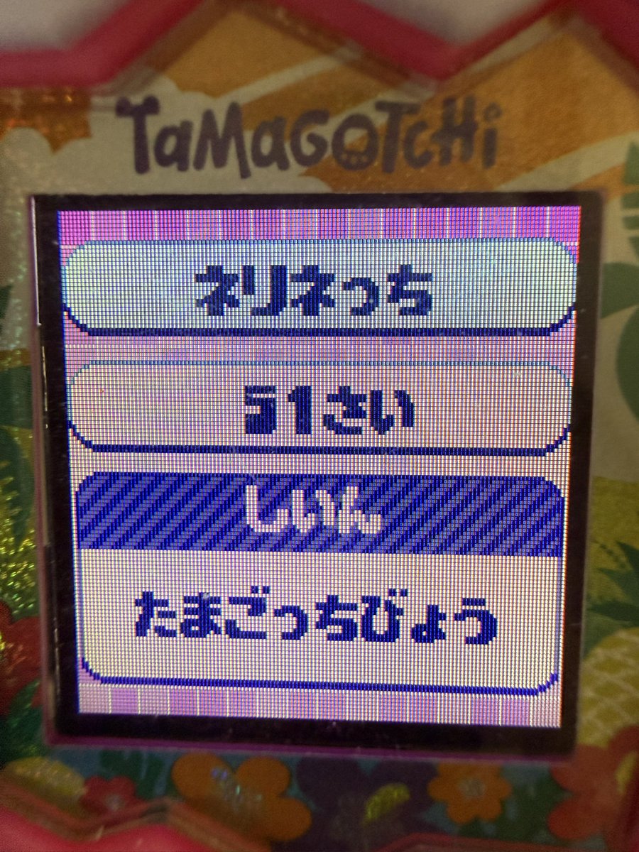 yucha_pte's tweet photo. ついにお亡くなりになりました…😭😭 https://t.co/3YPnaIYfju