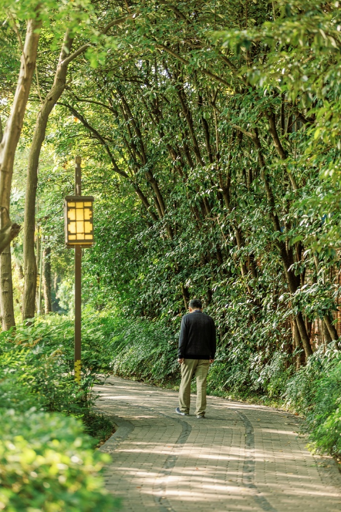 HildegardTnyaa's tweet photo. La vida es como un paseo que nunca termina, cada paso es una sorpresa. https://t.co/vZqzQblQ9p