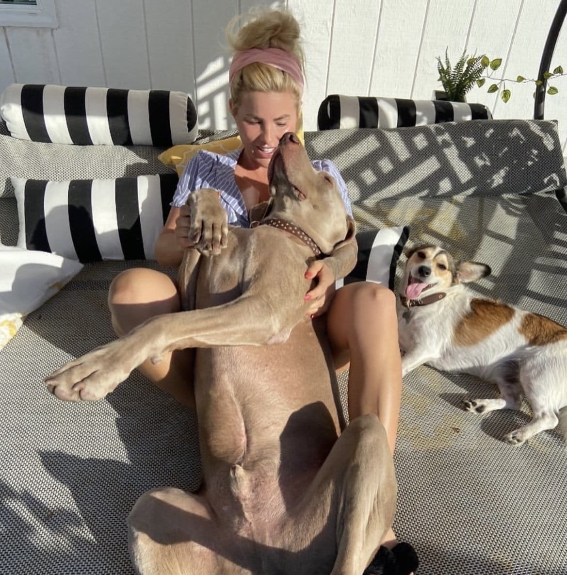 SophieKqz7's tweet photo. Close and cute.
Private is me getting fucked by my doggo until the knot swells, locks, and leaves me completely full.
Link in bio
#dogs #K9 #USA #Canada #Germany https://t.co/ooFiYMZPns