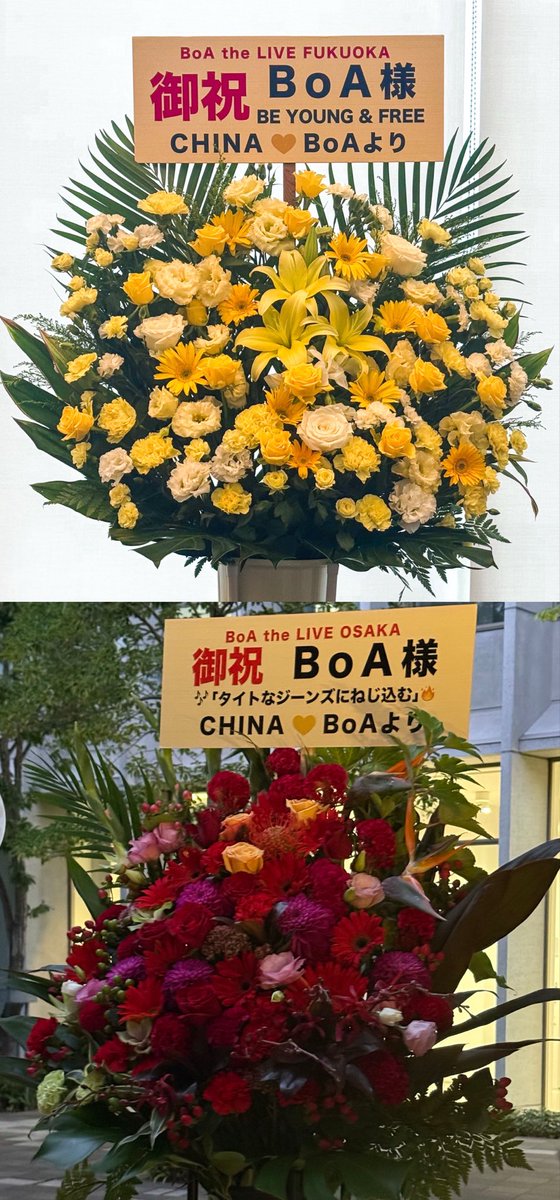 ChinalovesBoA86's tweet photo. BoA the LIVE with #ChinalovesBoA

结算画面٩(๑❛ᴗ❛๑)۶ https://t.co/Od7ftWyy43