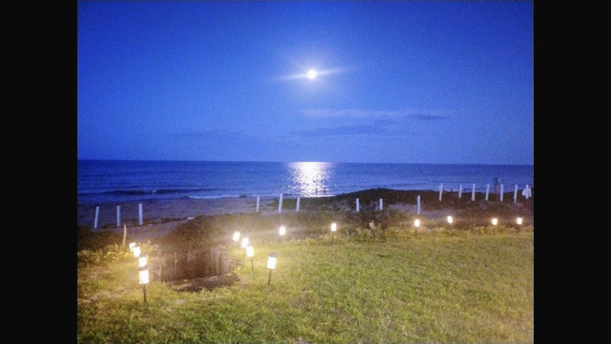 alfpevi1's tweet photo. @luisghernan @Hans2412 Desde Miramar admirando la luna llena https://t.co/TSayt39bdu