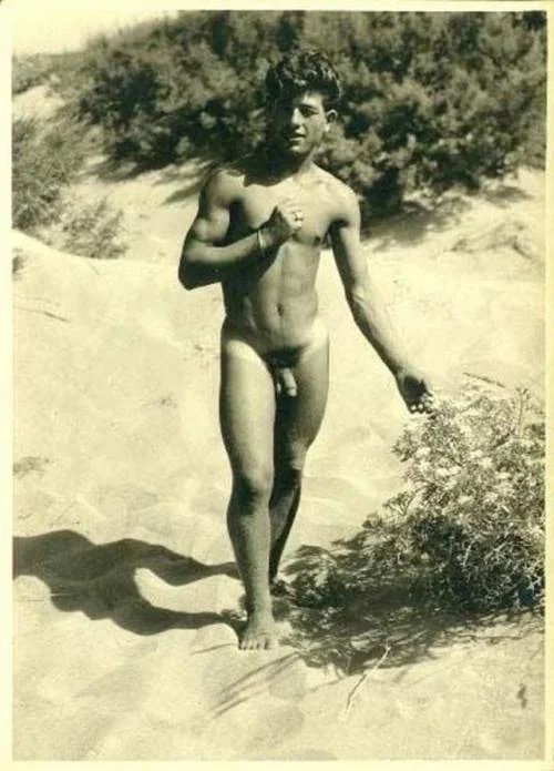espiandoandoar's tweet photo. #vintage #nudemale #BROTHERAGEMㅤ #nsfwtwtًً https://t.co/Nn64jVwb81