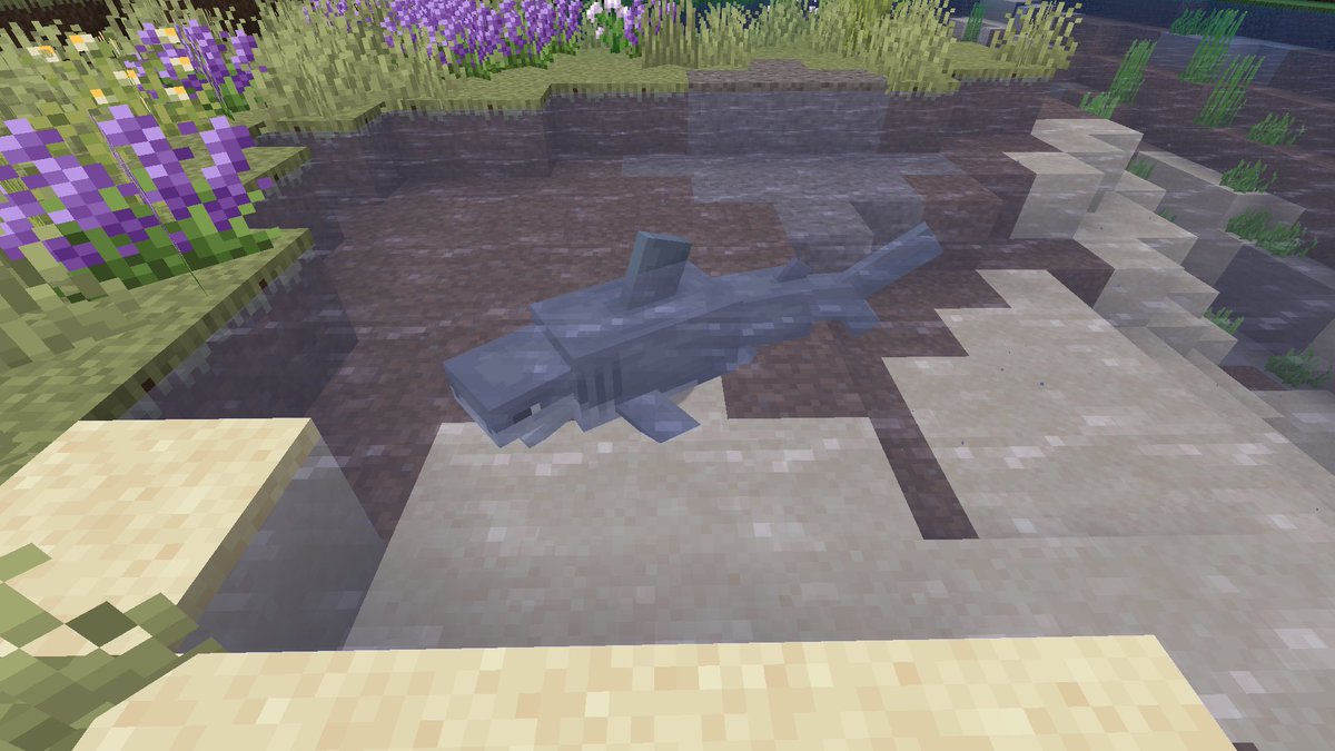 collaredshark tweet picture