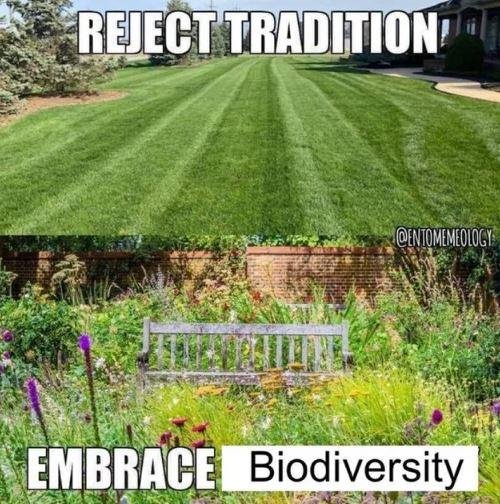 boyclitworshipr's tweet photo. #bush #letitgrow https://t.co/zkzJ8LVUTJ