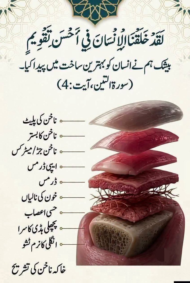 _3aman's tweet photo. #درود_وسلام
 #خاتم_النبیین_محمدﷺ نے ارشاد فرمایا کہ: دنیا کی بہترین چیز "نیک عورت" ہے۔
[صحیح مسلم ،حدیث:1467]

سبحان الله والحمدالله والله اكبر
الله اكبر
استغفر الله العظيم الذي لاإله إلا هو الحي القيوم وأتوب إليه

خَاتَمُ النَّبِیِّیْنَ رَحۡمَةً لِّلۡعَٰالَمِينَ ﷺ https://t.co/V7RIeEmoqn