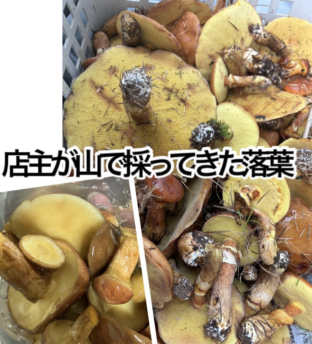 kiwami1956 tweet picture