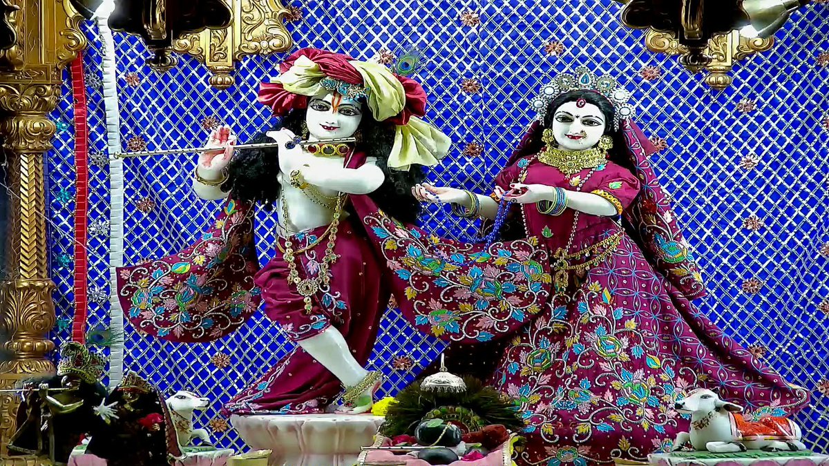Iskcon_vvn's tweet photo. —❀꧁𝐻𝑎𝑟𝑒 𝐾𝑟𝑖𝑠ℎ𝑛𝑎꧂❀—
🌿🛕Mangla Darshan🛕🌿
—❀꧁26-09-2026꧂❀—
🌹 Sri Sri Radha Giridhariji🌹 
🌷ISKCON VVN Anand🌷
—❀꧁𝐻𝑎𝑟𝑒 𝐾𝑟𝑖𝑠ℎ𝑛𝑎꧂❀— https://t.co/q0DgBbnNEs